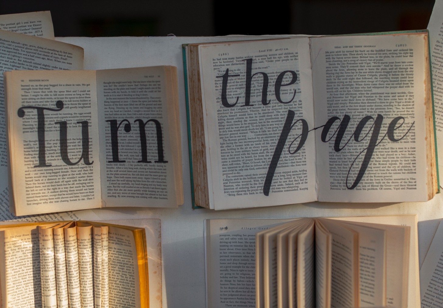 Books with text "Turn the page"