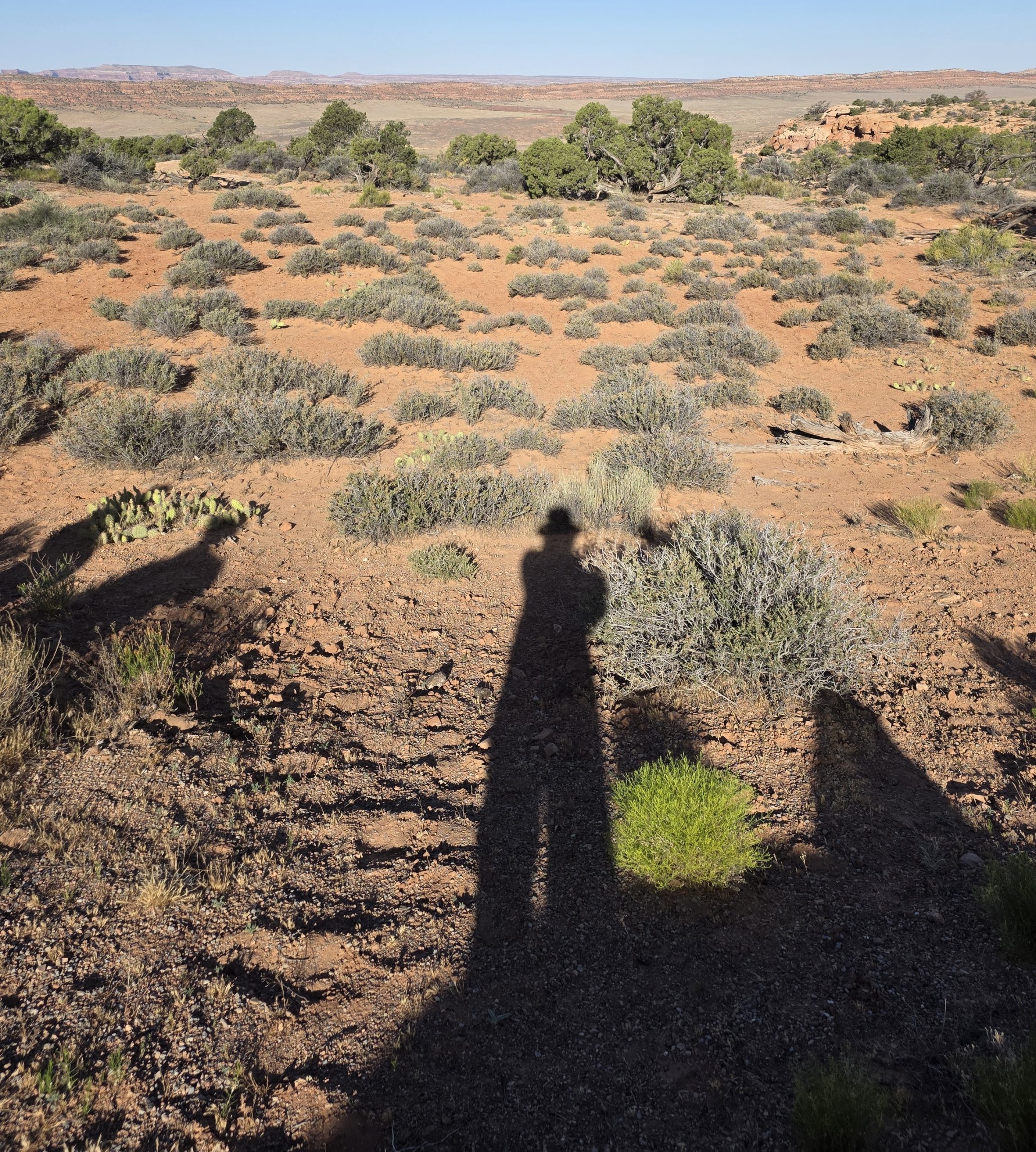 Shadow against a sunny desert